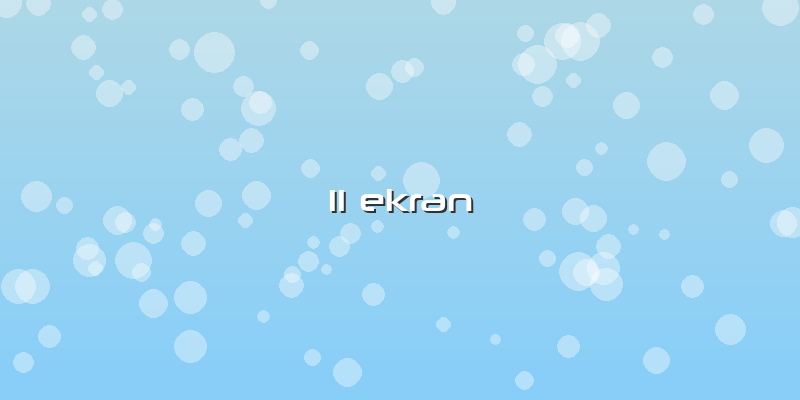 11 Ekran