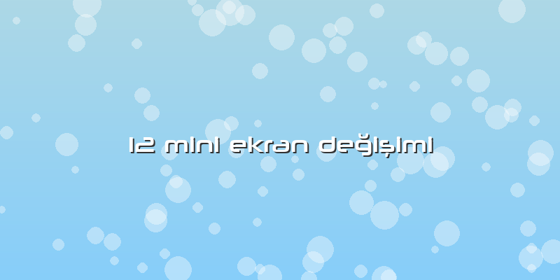 12 Mini Ekran Değişimi