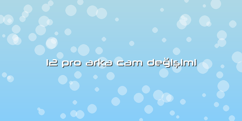 12 Pro Arka Cam Değişimi
