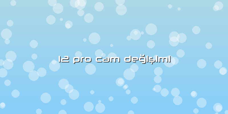 12 Pro Cam Değişimi