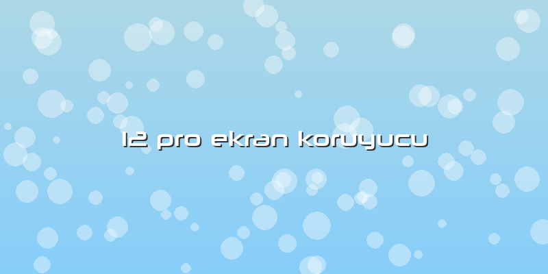 12 Pro Ekran Koruyucu