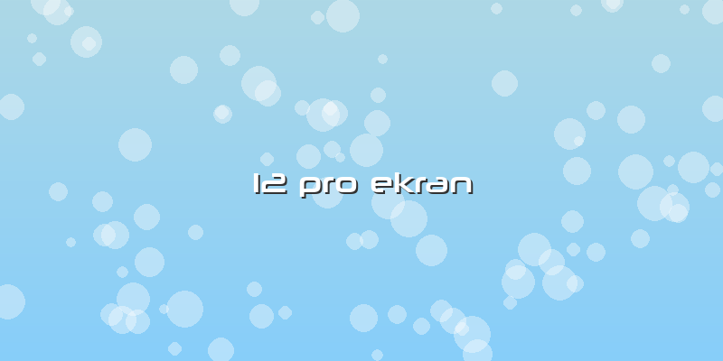 12 Pro Ekran