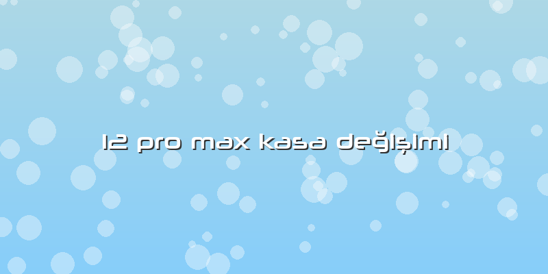 12 Pro Max Kasa Değişimi