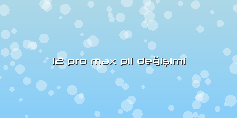 12 Pro Max Pil Değişimi