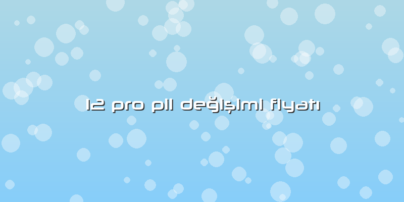 12 Pro Pil Değişimi FiyatÄ±