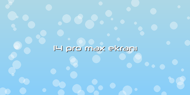 14 Pro Max EkranÄ±