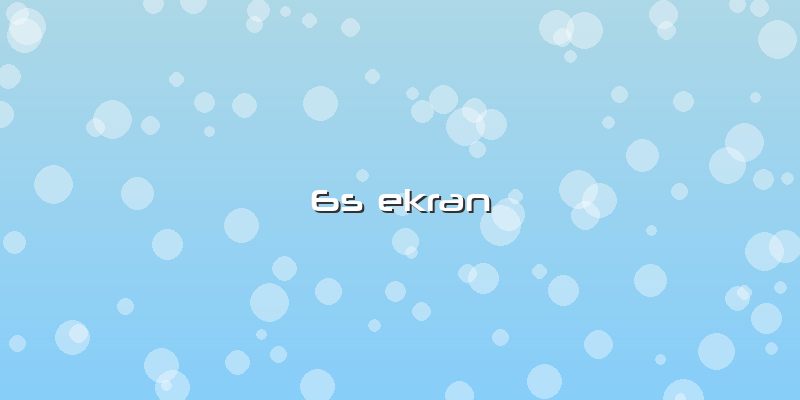 6s Ekran