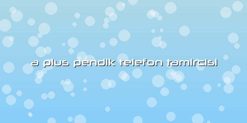 A Plus Pendik Telefon Tamircisi
