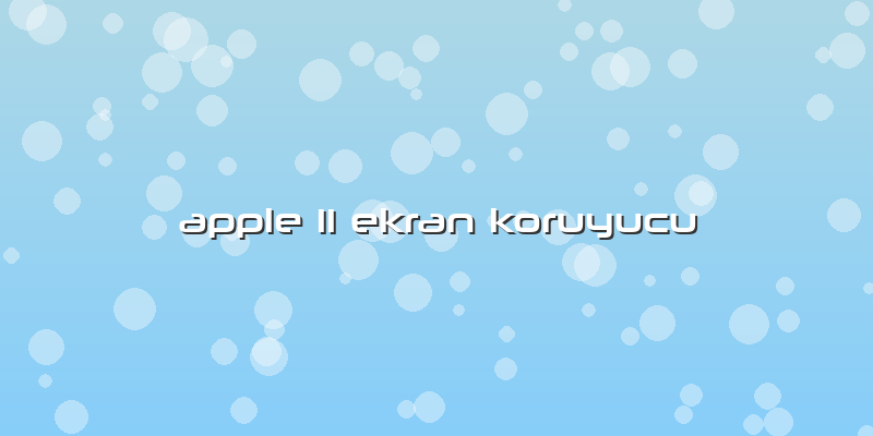 Apple 11 Ekran Koruyucu