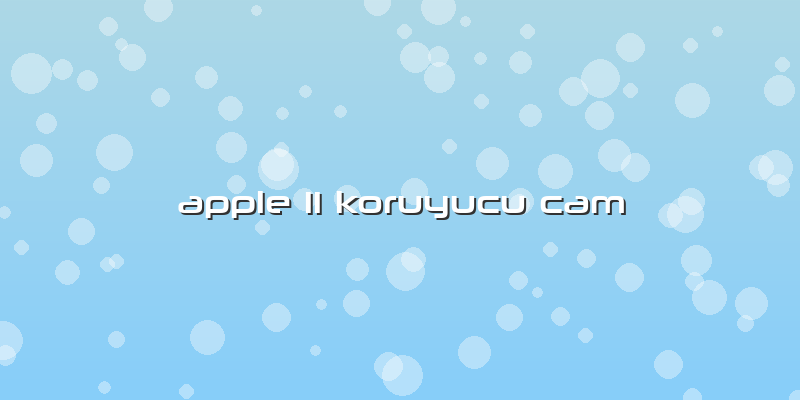 Apple 11 Koruyucu Cam