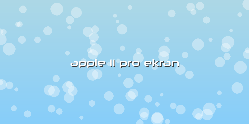 Apple 11 Pro Ekran