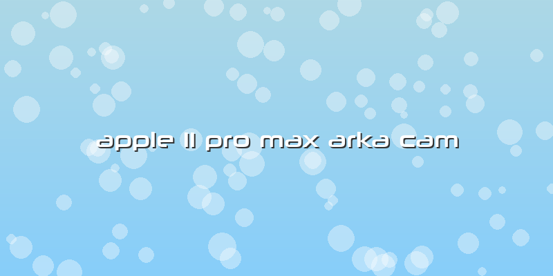 Apple 11 Pro Max Arka Cam