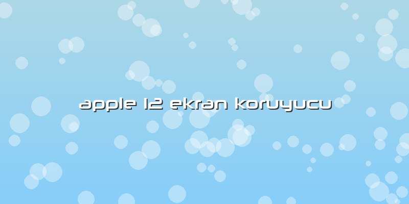 Apple 12 Ekran Koruyucu