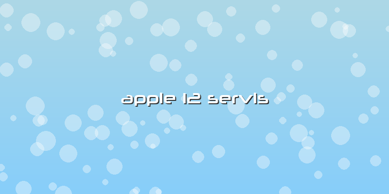 Apple 12 Servis