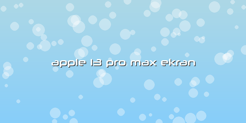 Apple 13 Pro Max Ekran