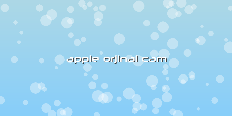 Apple Orjinal Cam