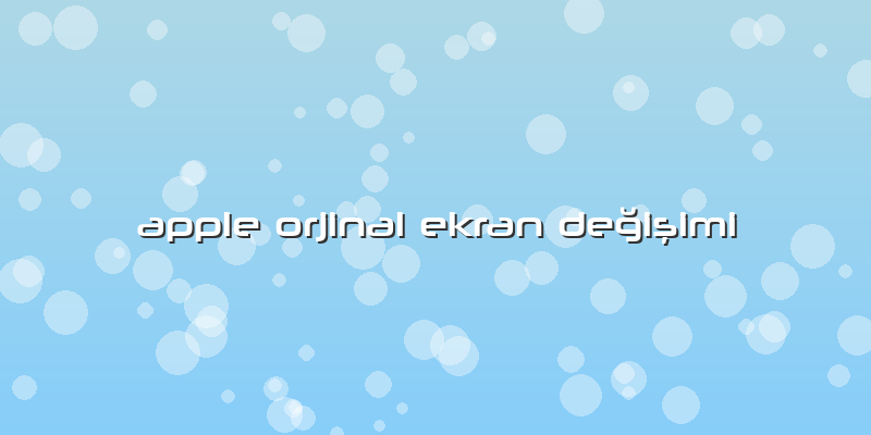 Apple Orjinal Ekran Değişimi