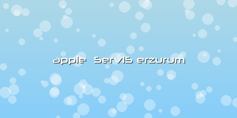 Apple Servis Erzurum