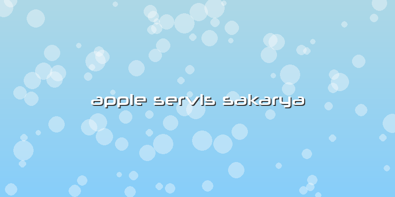 Apple Servis Sakarya