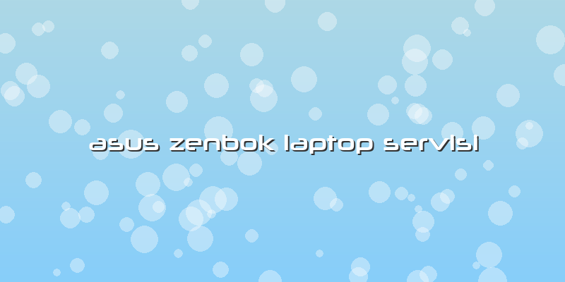Asus Zenbok Laptop Servisi