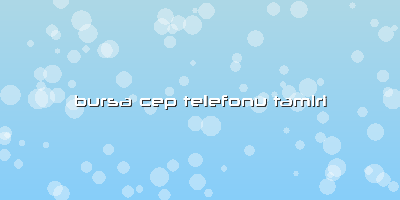 Bursa Cep Telefonu Tamiri