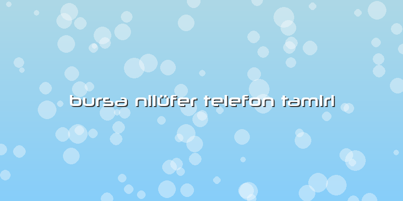 Bursa Nilüfer Telefon Tamiri