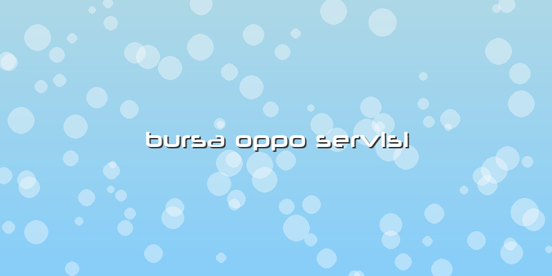 Bursa Oppo Servisi