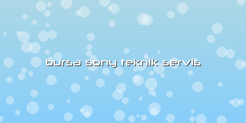 Bursa Sony Teknik Servis