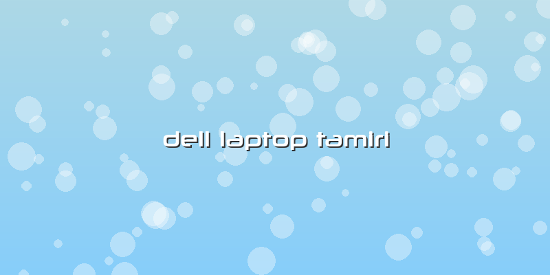 Dell Laptop Tamiri