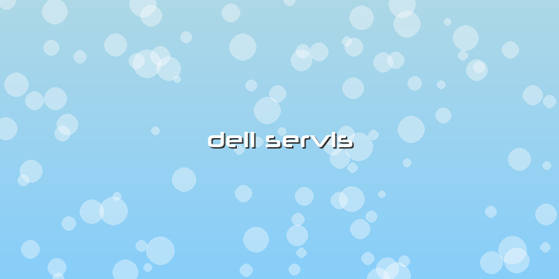 Dell Servis