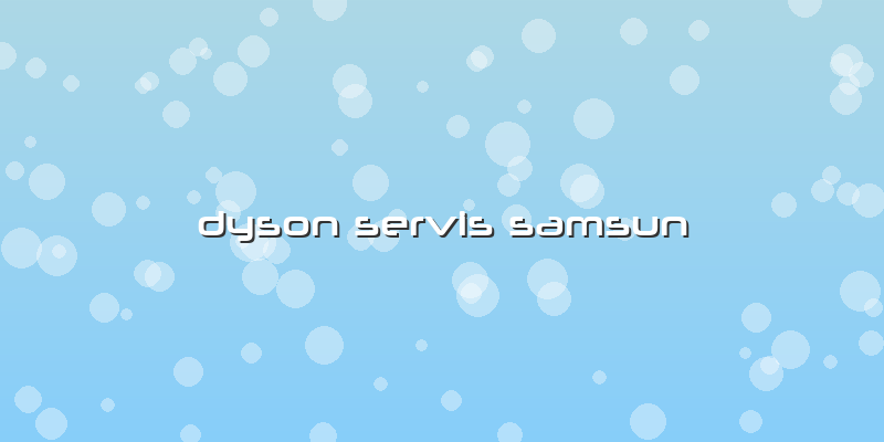 Dyson Servis Samsun