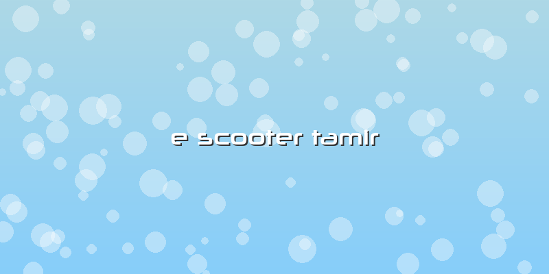 E Scooter Tamir
