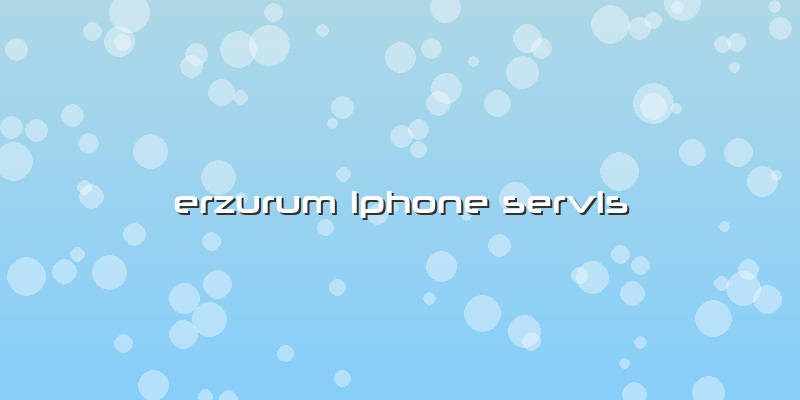 Erzurum Iphone Servis