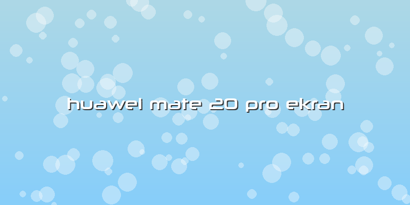 Huawei Mate 20 Pro Ekran