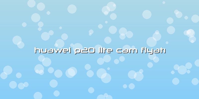 Huawei P20 Lite Cam FiyatÄ±