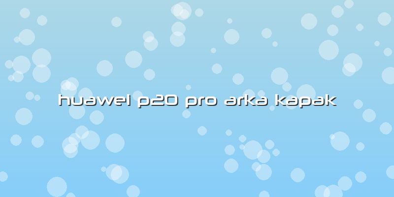 Huawei P20 Pro Arka Kapak