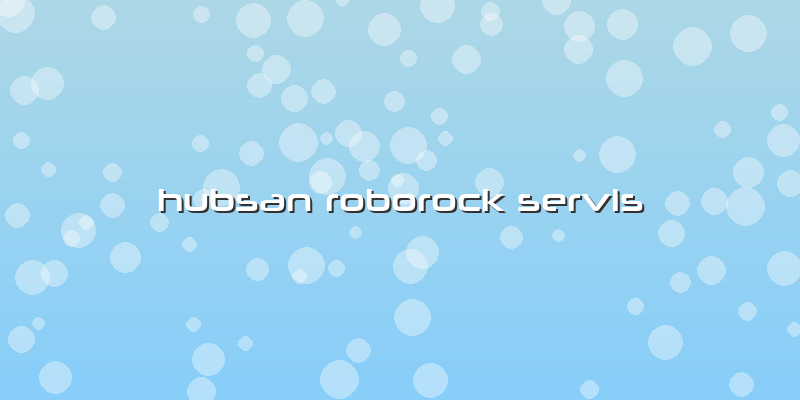 Hubsan Roborock Servis