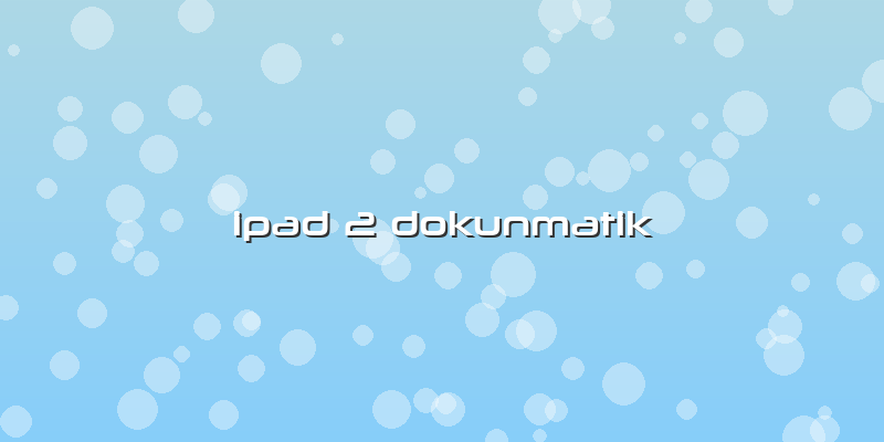 Ipad 2 Dokunmatik