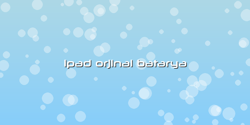 Ipad Orjinal Batarya