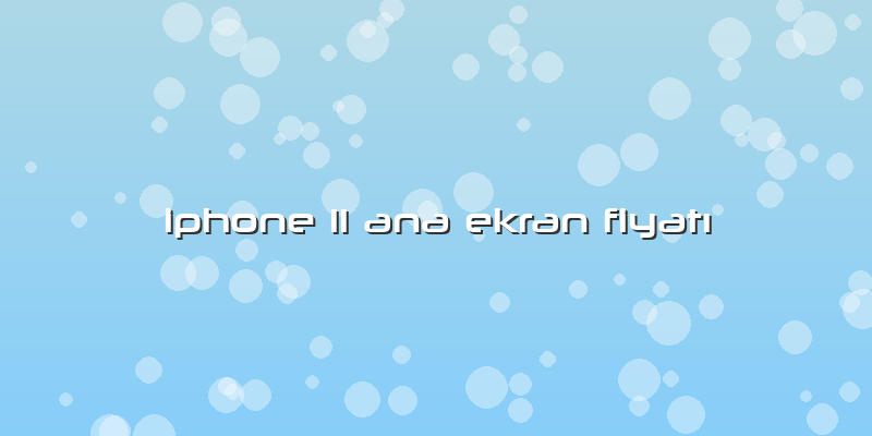 Iphone 11 Ana Ekran FiyatÄ±