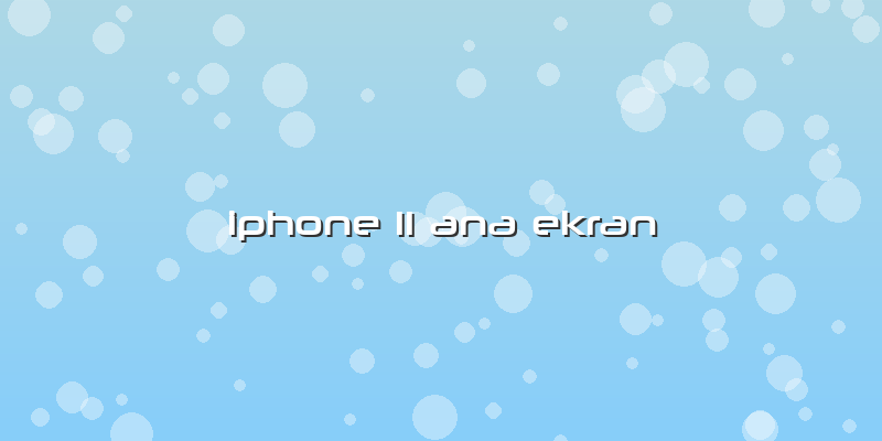 Iphone 11 Ana Ekran