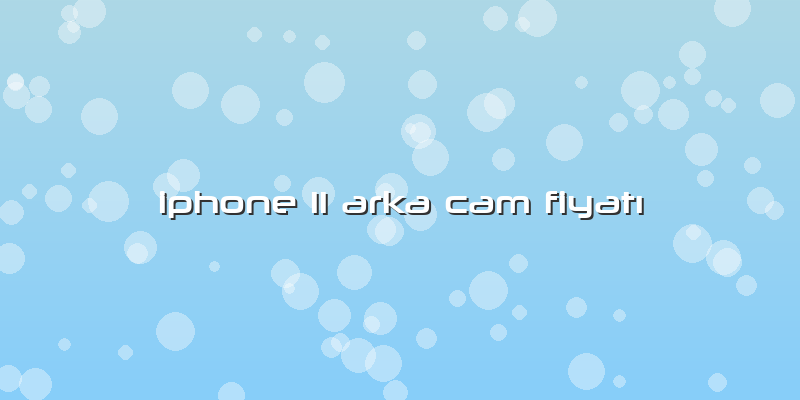 Iphone 11 Arka Cam FiyatÄ±