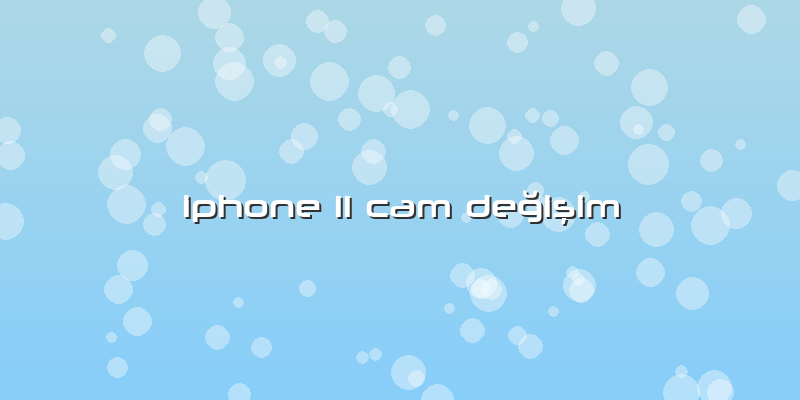 Iphone 11 Cam Değişim
