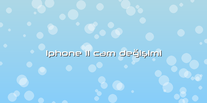 Iphone 11 Cam Değişimi