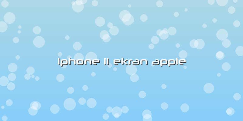 Iphone 11 Ekran Apple