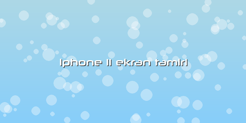 Iphone 11 Ekran Tamiri