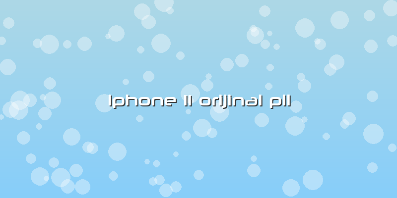 Iphone 11 Orijinal Pil