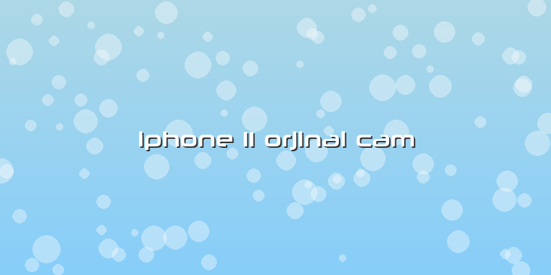 Iphone 11 Orjinal Cam