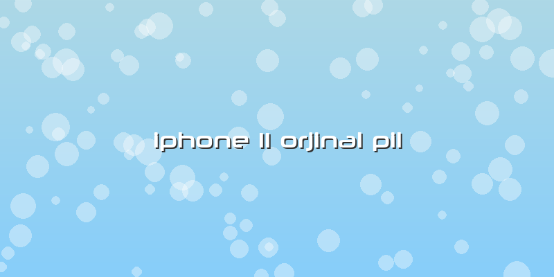 Iphone 11 Orjinal Pil