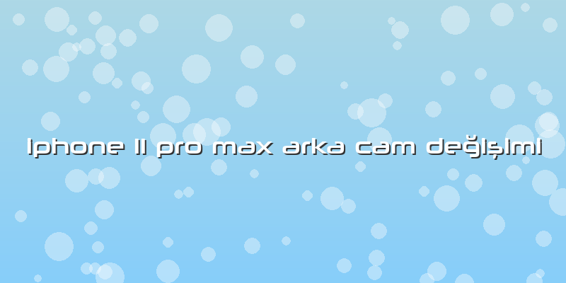 Iphone 11 Pro Max Arka Cam Değişimi